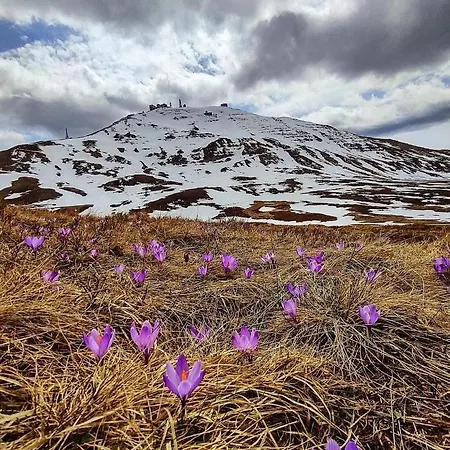 דירה Paradise Seasons