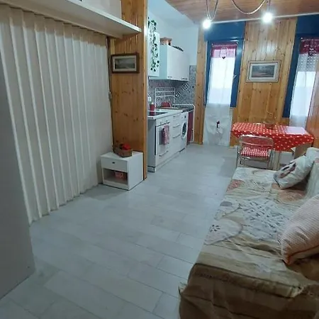 Paradise Seasons * ססטולה