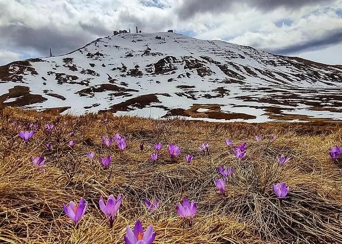 Apartamento Paradise Seasons